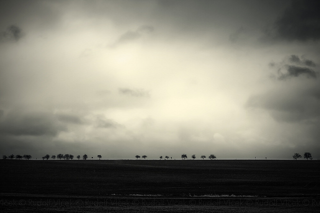 7030327565_8ca91ea9d4_z